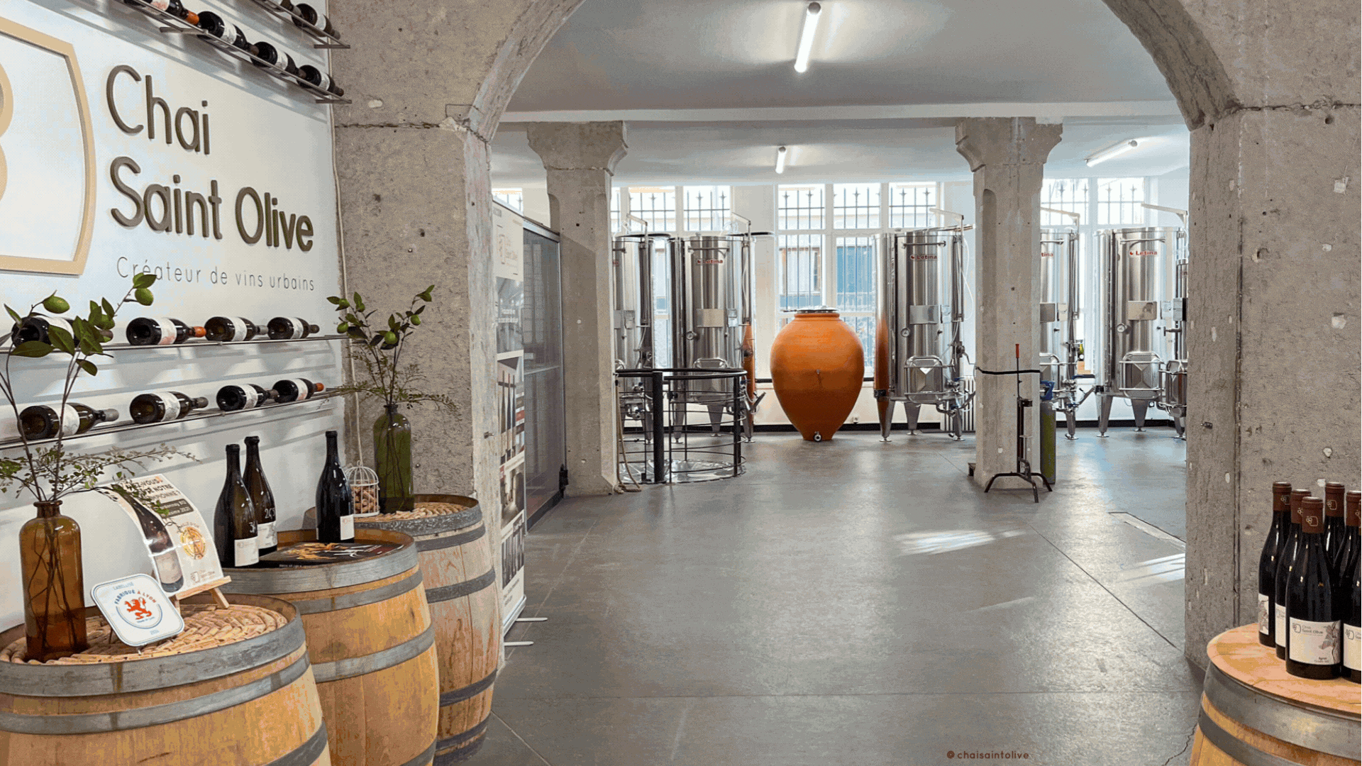 Lieu privatisable Lyon Chai Saint Olive