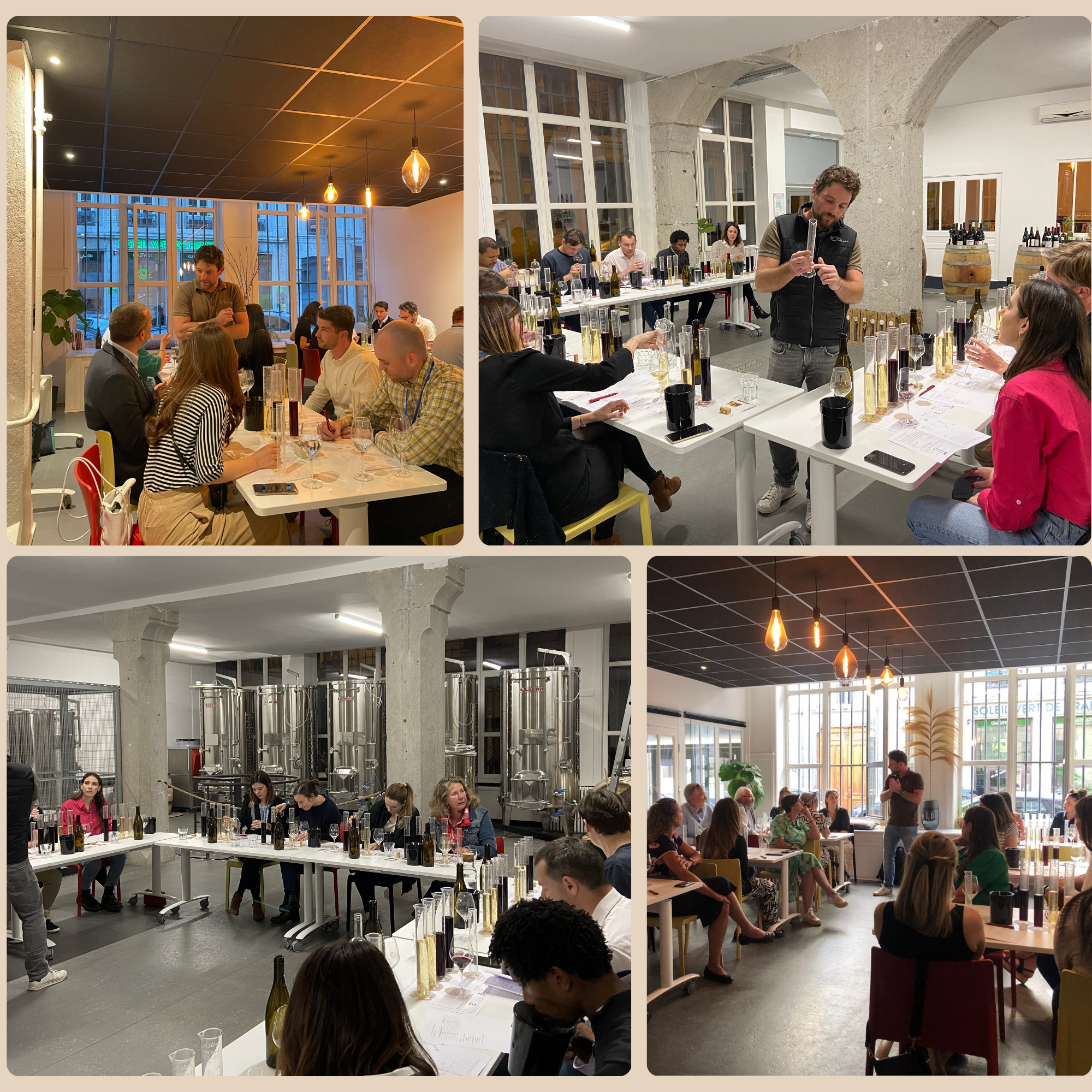 activité atelier assemblage chai saint olive