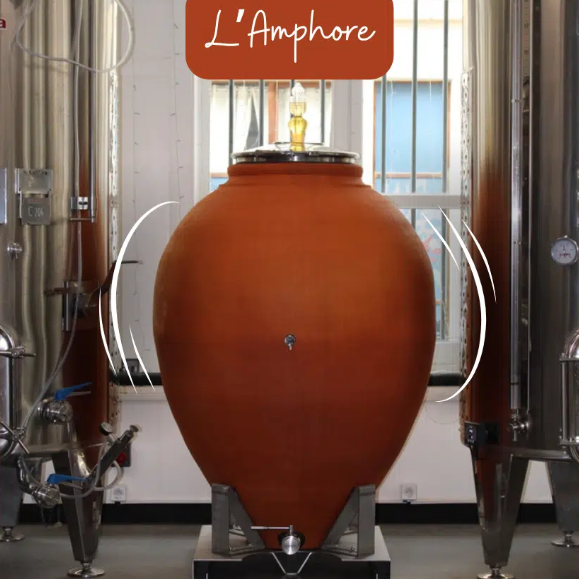 amphore en terre cuite dans chai urbain