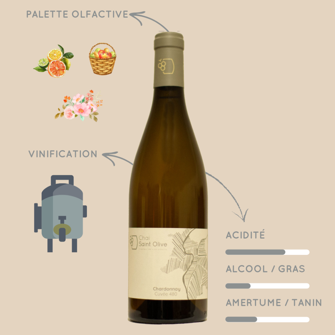 infos chardonnay 480 chai saint olive