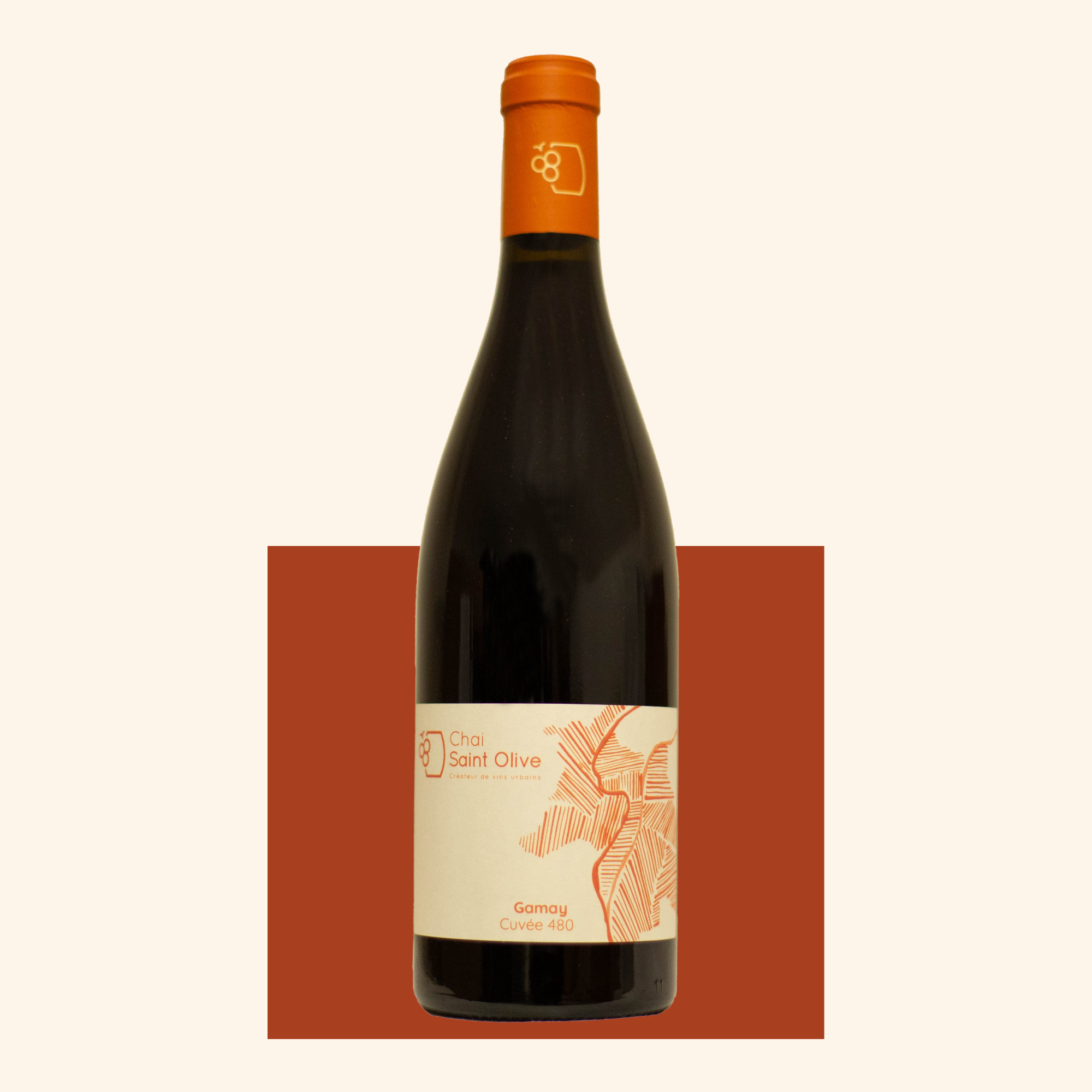 Vin Gamay 480 Chai Saint Olive