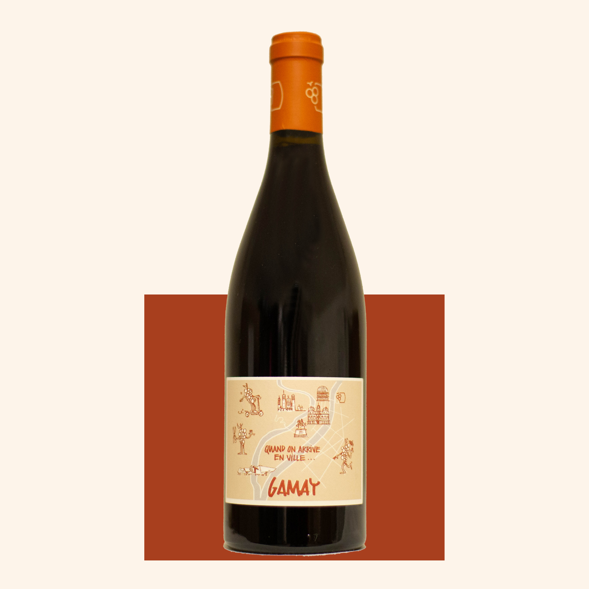 Vin Gamay bio Chai Saint Olive