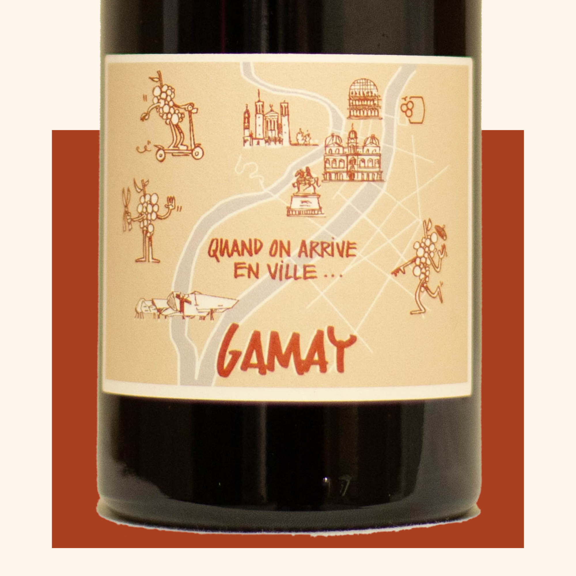 gamay vin rouge chai saint olive close up