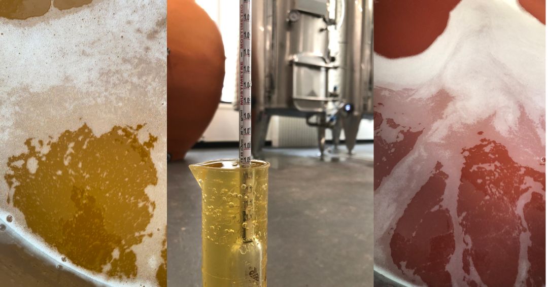 Vinificateur contrôlant fermentation spontanée