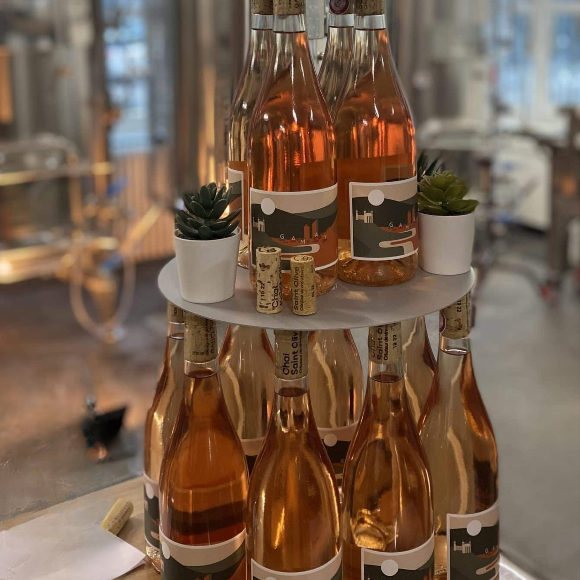 rosé chai saint olive vin 