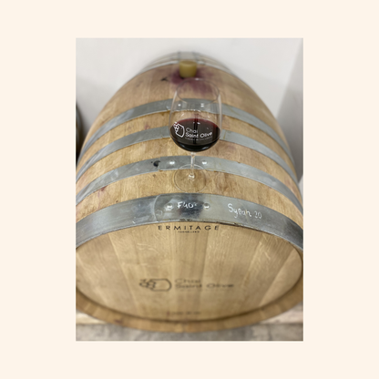 syrah cuvée 812 fût chêne chai saint olive